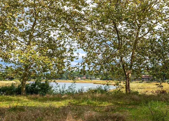 Appartement Hameau Du Courant-1 By Interhome *