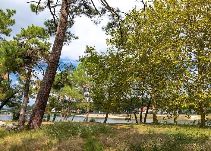 Hameau Du Courant-1 By Interhome Appartement Mimizan-Plage